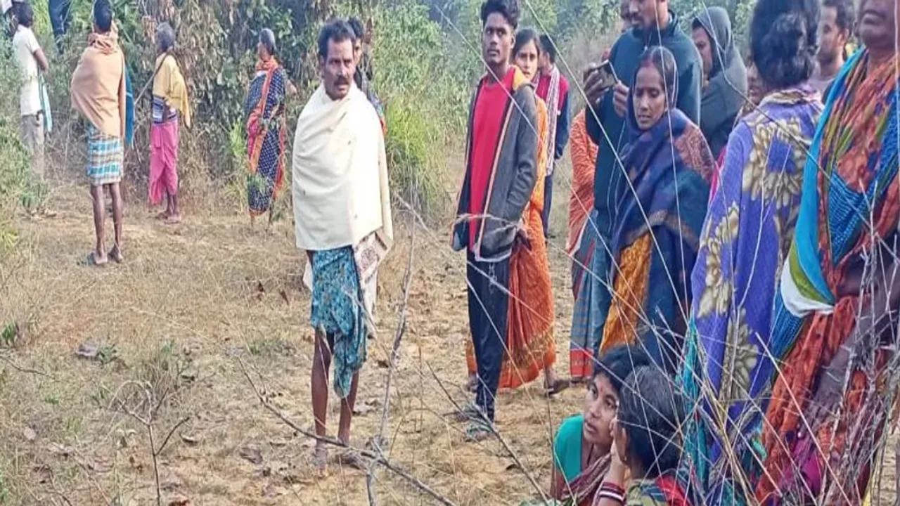  ବିଲକୁ ଯାଉଥିଲେ ମହିଳା ; କଚାଡି ମାରିଦେଲା ଦନ୍ତା