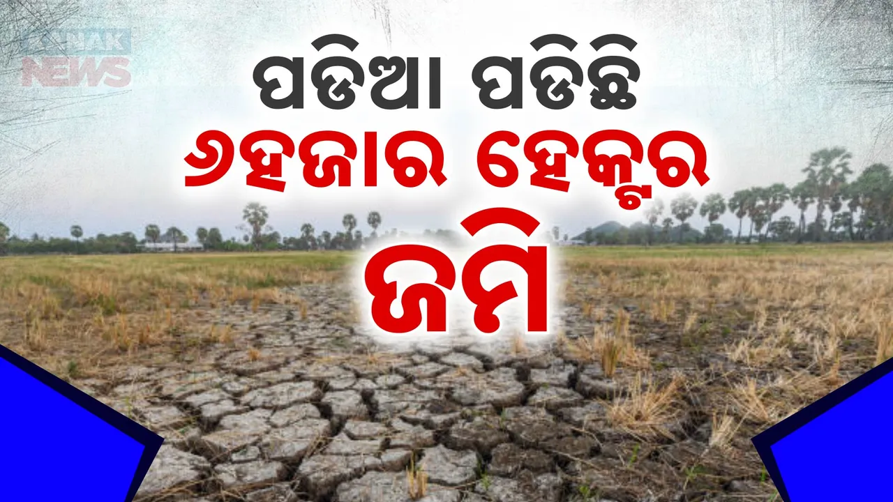  ରାଜ୍ୟରେ ପଡିଆ ପଡିଛି  ୬ ହଜାର ହେକ୍ଟର ଜମି ; ଗୃହକୁ ତଥ୍ୟ ଦେଲେ ଉପମୁଖ୍ୟମନ୍ତ୍ରୀ
