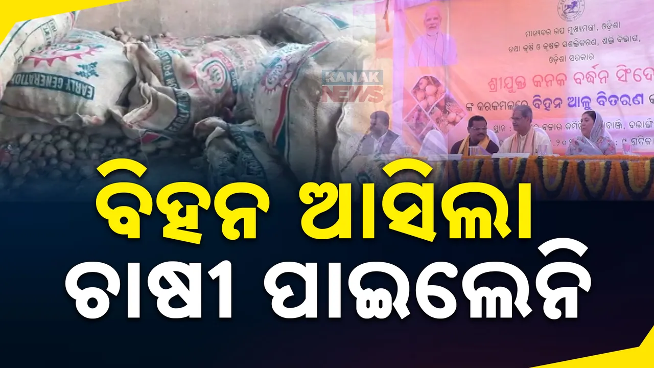  ଆଳୁ ସଂକଟ ଦୂର ପାଇଁ ମିଶନ ମୋଡରେ ବିହନ ଯୋଗାଉଛନ୍ତି ସରକାର । ଚାଷୀଙ୍କ ପାଖରେ ପହଂଚୁନାହଁ, ହେଉଛି ବାଟମଣା