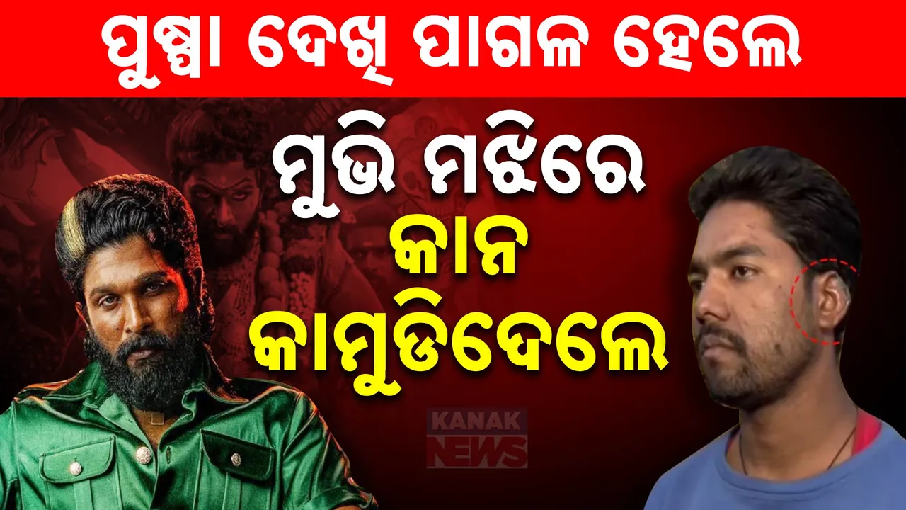  ପୁଷ୍ପା ଦେଖି ପାଗଳ ହେଲେ ଫ୍ୟାନ୍ସ । ମୁଭି ମଝିରେ ଦର୍ଶକଙ୍କ ଉନ୍ମତ୍ତକାଣ୍ଡ , ଅଲ୍ଲୁଙ୍କ ଷ୍ଟାଇଲରେ କାମୁଡ଼ିଦେଲେ କାନ
