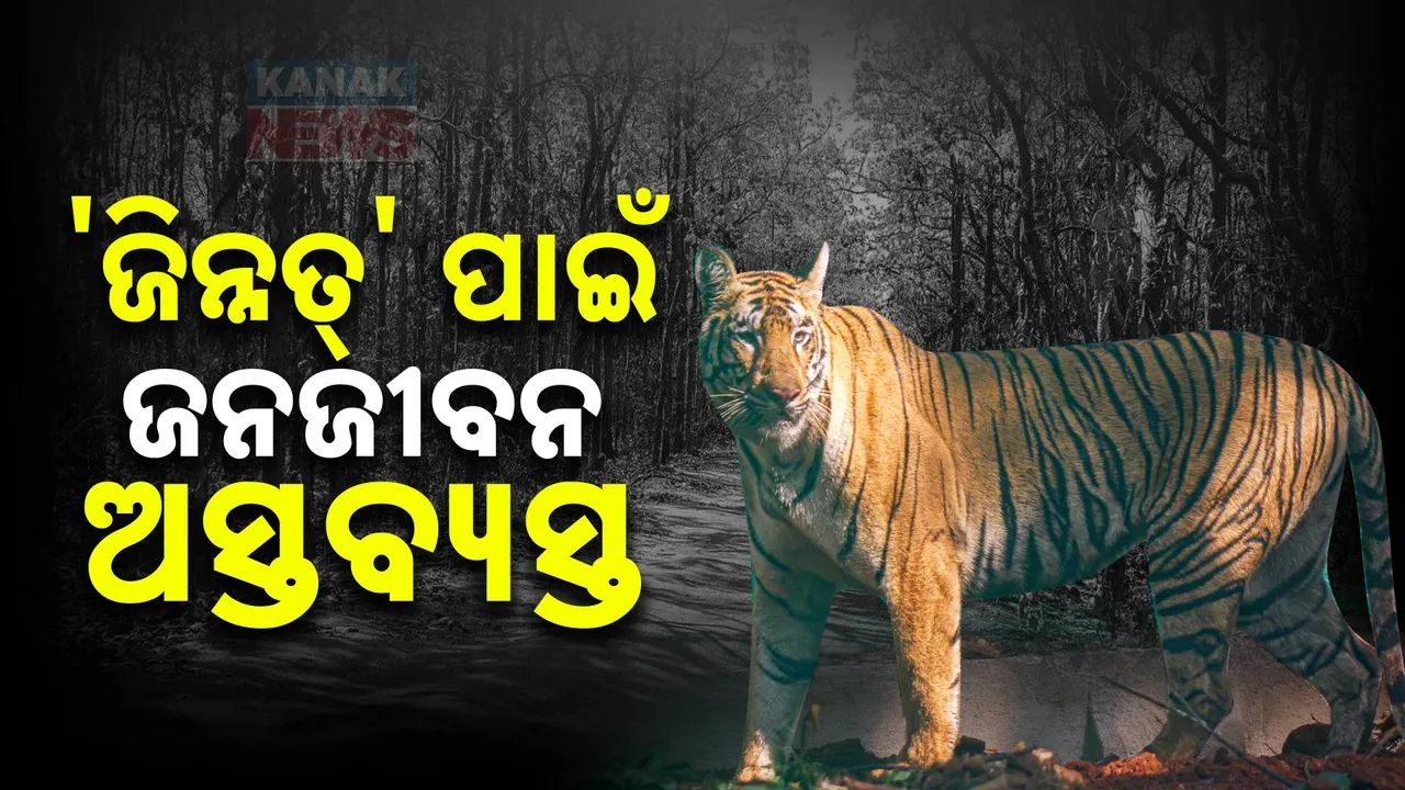  ଝାଡଖଣ୍ଡ ଜଙ୍ଗଲରେ ବୁଲୁଛି ଜିନ୍ନତ୍ । ଜଙ୍ଗଲ ଅଞ୍ଚଳରେ ୧୬୩ ଧାରା ଜାରି । ଦୁଇ ଦିନ ପାଇଁ ସ୍କୁଲ ବନ୍ଦ ଘୋଷଣା ।