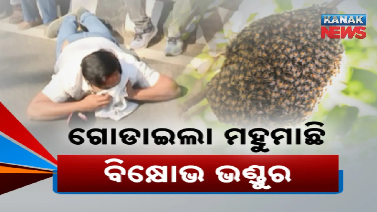  ବିଷ୍ଣୁଙ୍କ ଘର ଘେରିବାକୁ ଯାଇଥିଲା କଂଗ୍ରେସ । ହଠାତ୍ ମାଡି ଆସିଲେ ମହୁମାଛି । ଛତ୍ରଭଙ୍ଗ ଦେଲେ ଆନ୍ଦୋଳନକାରୀ