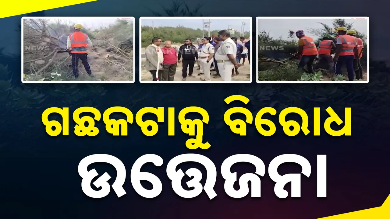  ଚନ୍ଦ୍ରଭାଗା ମୁହାଣରେ ଝାଉଁ ଗଛ କଟାକୁ ବିରୋଧ : ଘଟଣାସ୍ଥଳରେ ଉତ୍ତେଜନା
