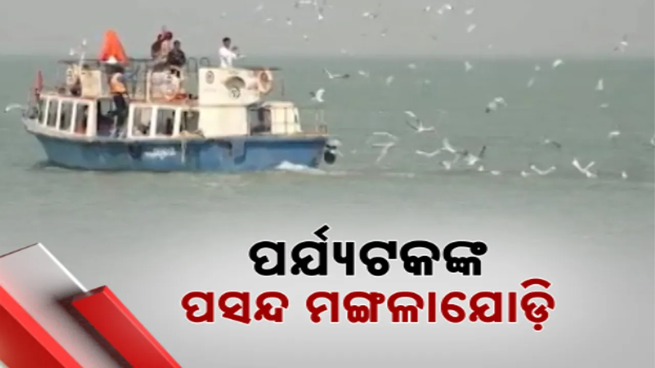  ଚିଲିକା ମଙ୍ଗଳାଯୋଡ଼ି, ନଳବଣ ପକ୍ଷୀ ଅଭୟାରଣ୍ୟରେ ଜମିଲାଣି ପର୍ଯ୍ୟଟକଙ୍କ ଭିଡ଼ । ବିଦେଶାଗତ ପକ୍ଷୀଙ୍କ ଗହଣରେ ବିତୁଛି ସମୟ ।