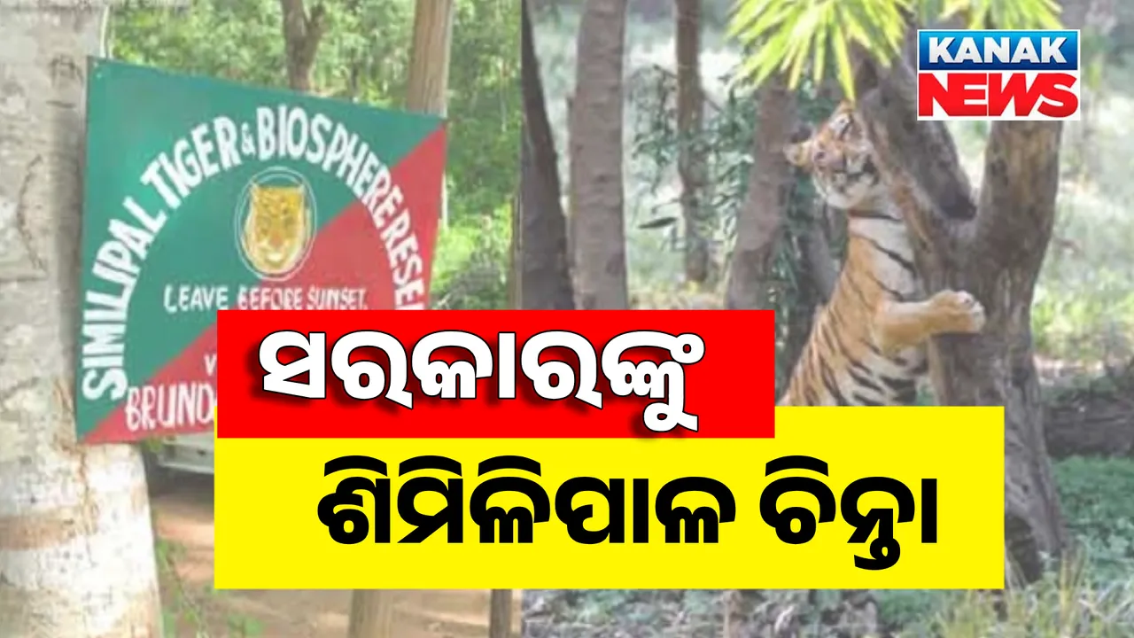  ସରକାରଙ୍କୁ ଶିମିଳିପାଳ ଚିନ୍ତା । ସୁରକ୍ଷା ଦାୟିତ୍ବରେ ରହିବେ ୧୩୧ ଜଣିଆ ଆର୍ମଡ ପୋଲିସ ରିଜର୍ଭ ଫୋର୍ସ