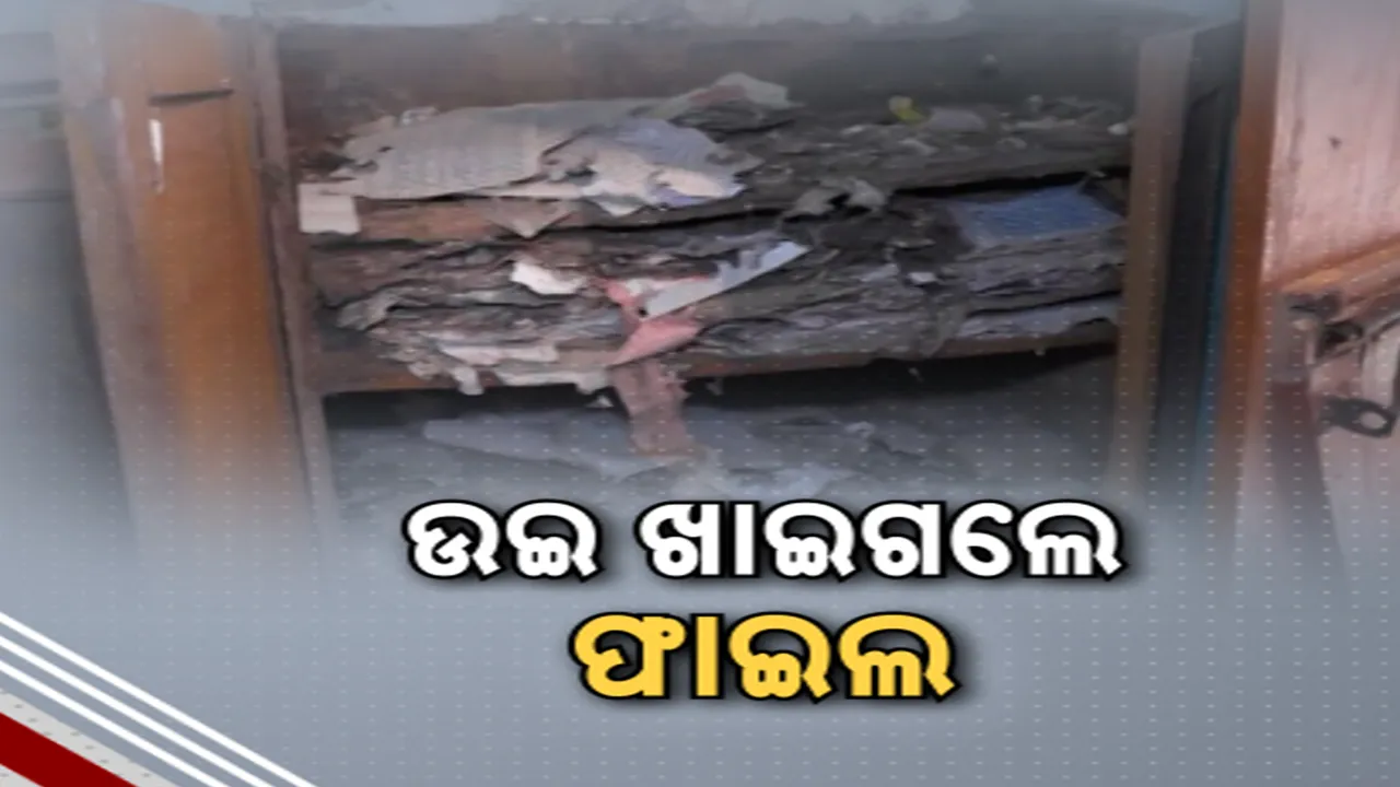  ଉଇ ଖାଇଗଲେ ଫାଇଲ Photograph: (KanakNews ) 