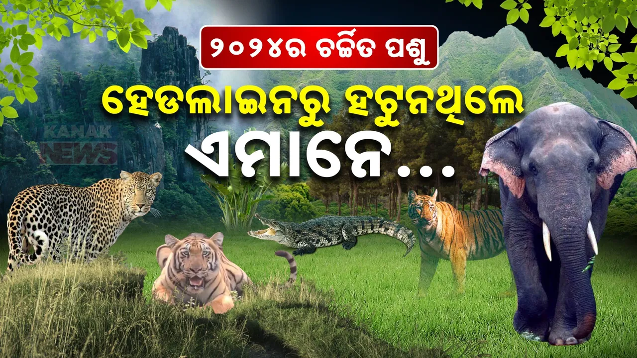 ୨୪ର ଚର୍ଚ୍ଚିତ ପଶୁ: କେବେ ହାତୀ ତ କେବେ ଭାଲୁ, ଓଡ଼ିଶାରେ ଉତ୍ପାତ କରି ପାଲଟିଥିଲେ ଖବରର ଶିରୋନାମା...