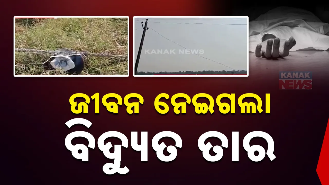  ଚାଷୀଙ୍କ ଜୀବନ ନେଇଗଲା ବିଦ୍ୟୁତ ତାର । ମୃତ୍ୟୁକୁ ନେଇ ଉତ୍ତେଜନା ।