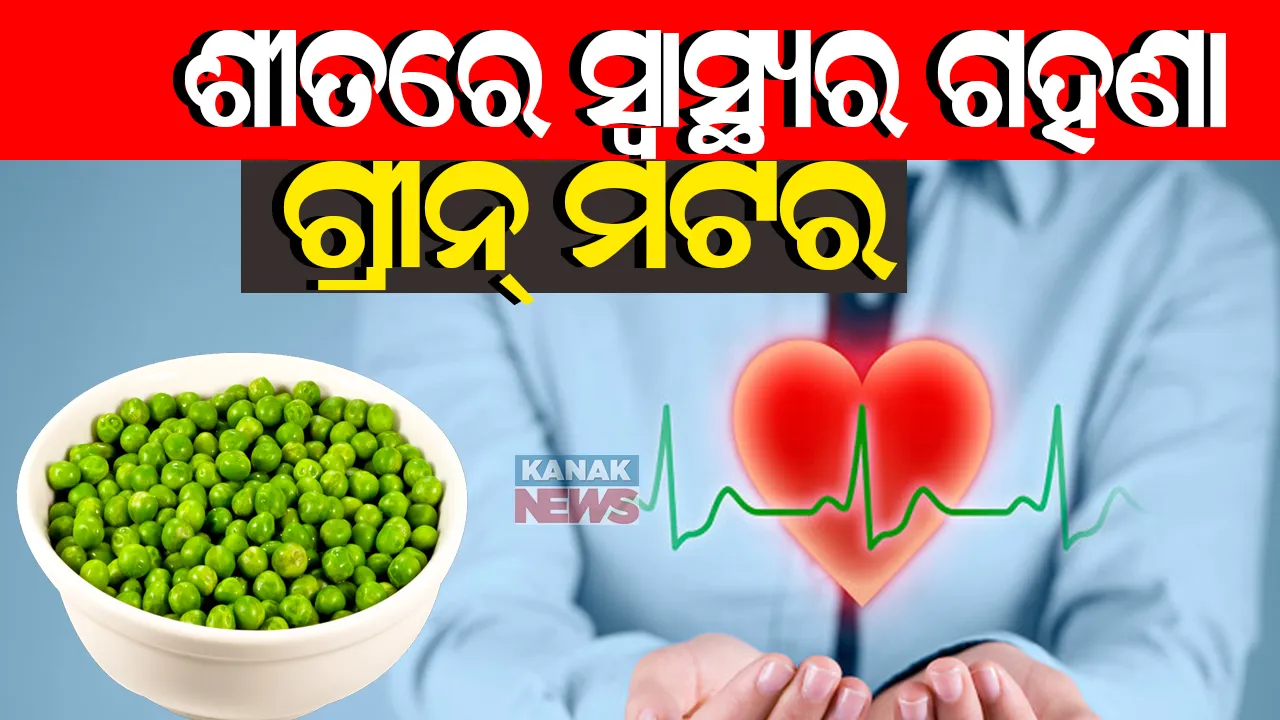  ଖାଉନାହାନ୍ତି କି ଗ୍ରୀନ୍ ମଟର ? ଖାଦ୍ୟରେ କରନ୍ତୁ ସାମିଲ୍ , ଶୀତରେ ସ୍ବାସ୍ଥ୍ୟର ଗହଣା ପାଲଟେ ଗ୍ରୀନ୍ ମଟର