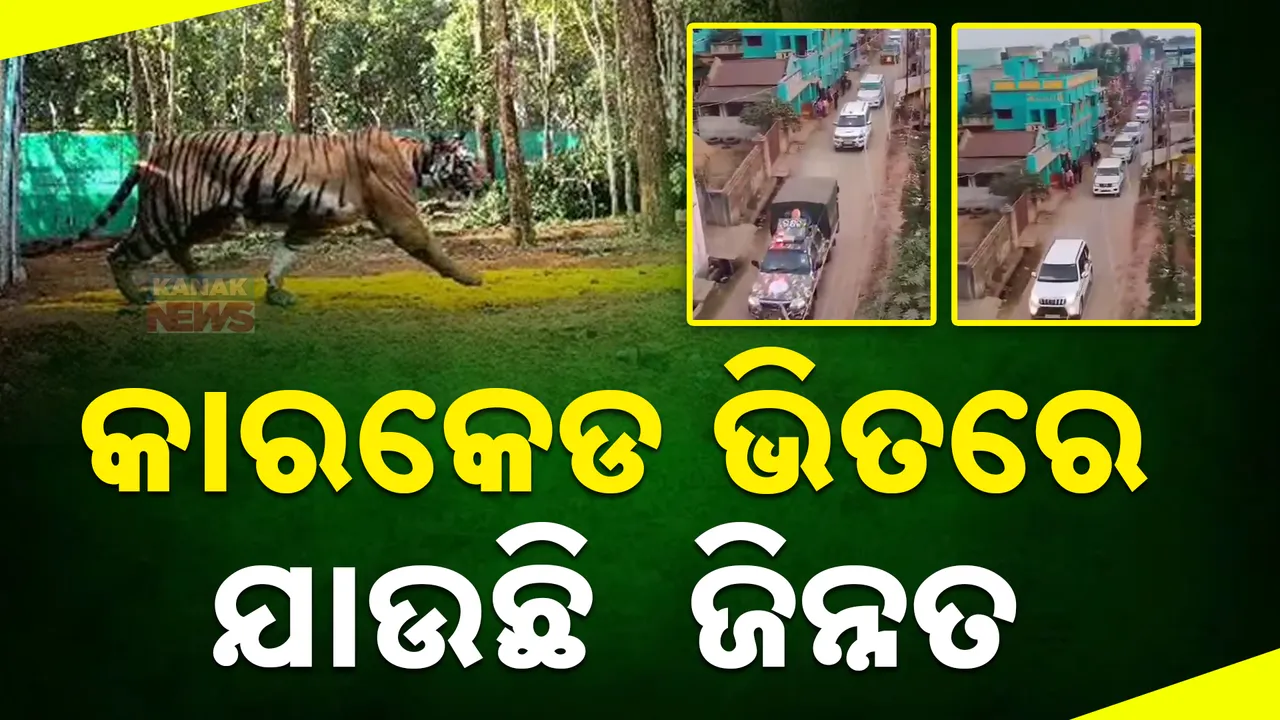  କାରକେଡ୍ ଭିତରେ ଆସୁଛି ଜିନ୍ନତ ; ବାଘୁଣୀ ପାଇଁ ଭିଭିଆଇପି ସୁରକ୍ଷା ବ୍ୟବସ୍ଥା