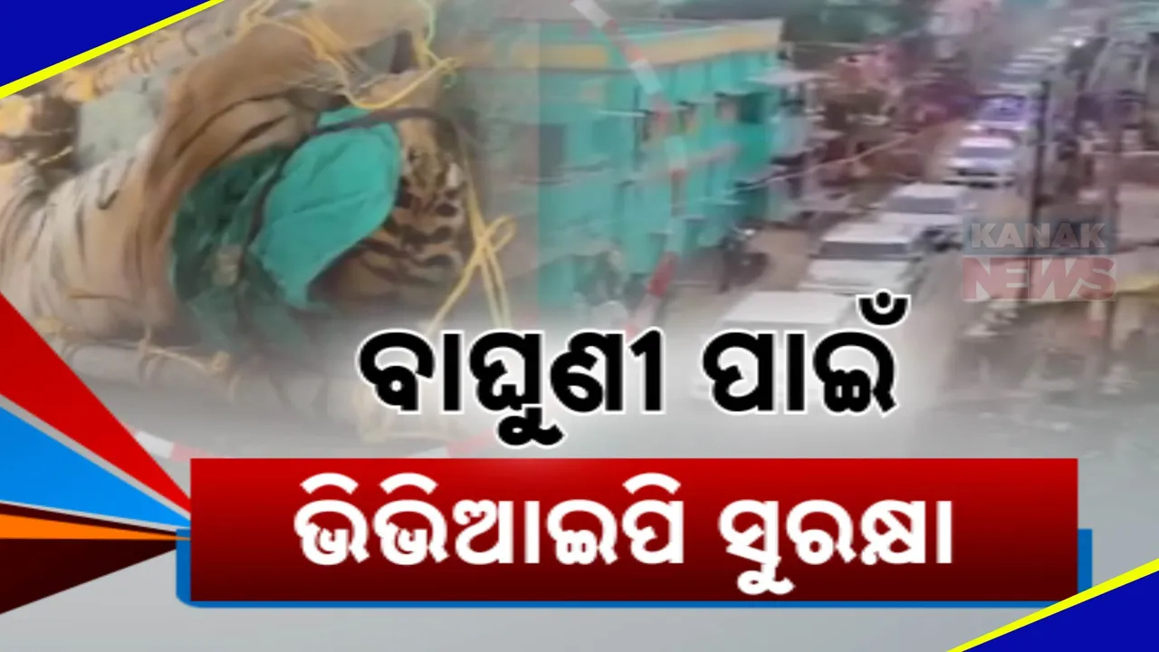  ଜିନ୍ନତକୁ ଭିଆଇପି ସୁରକ୍ଷା Photograph: (KanakNews ) 