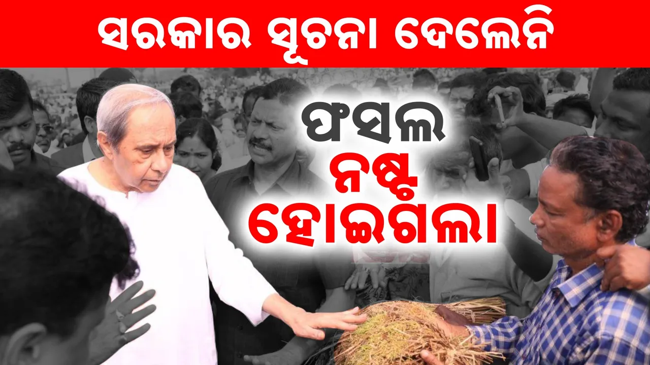  Naveen ccc Photograph: (KanakNews ) 