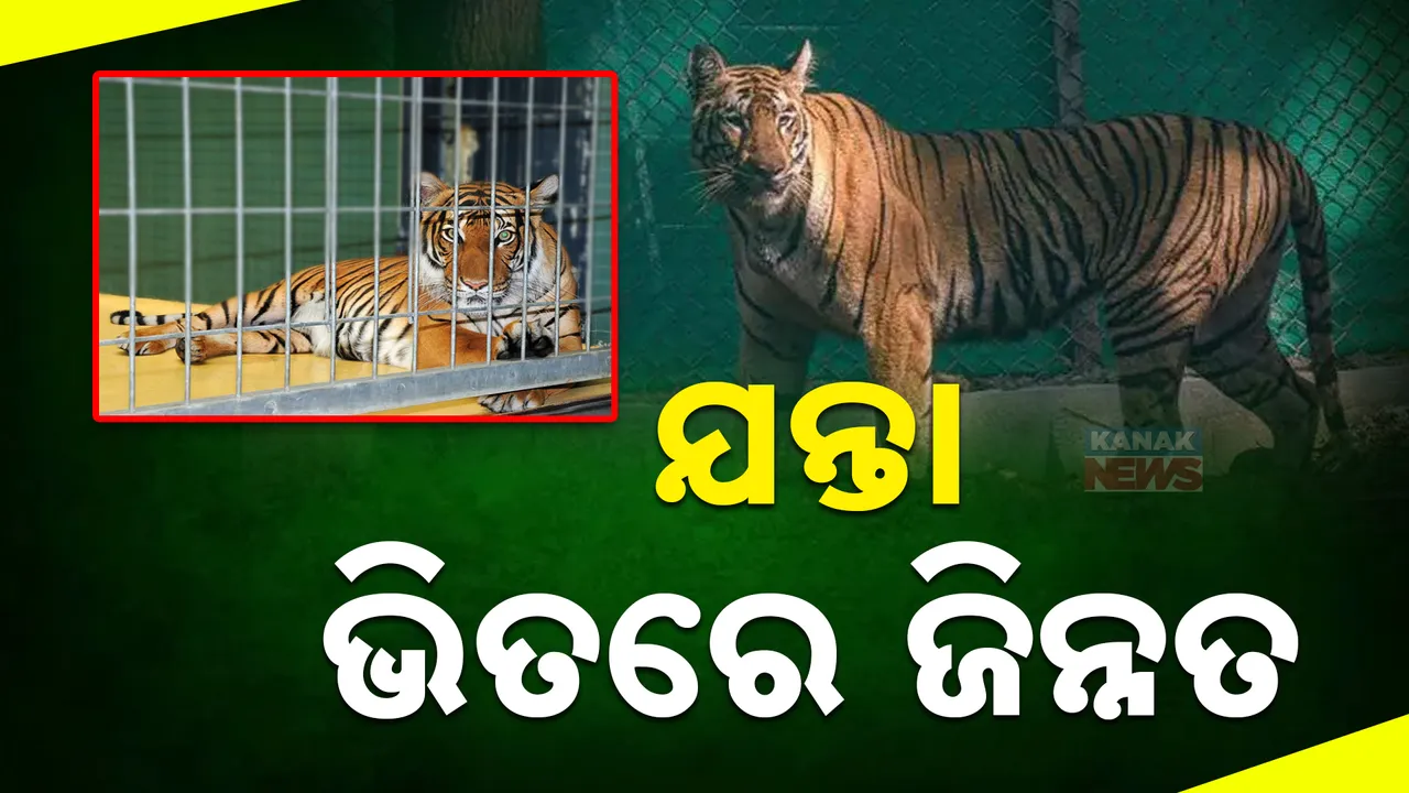  ରଗଲୋୂ 8 Photograph: (ରଗଲୋୂୋ 8) 