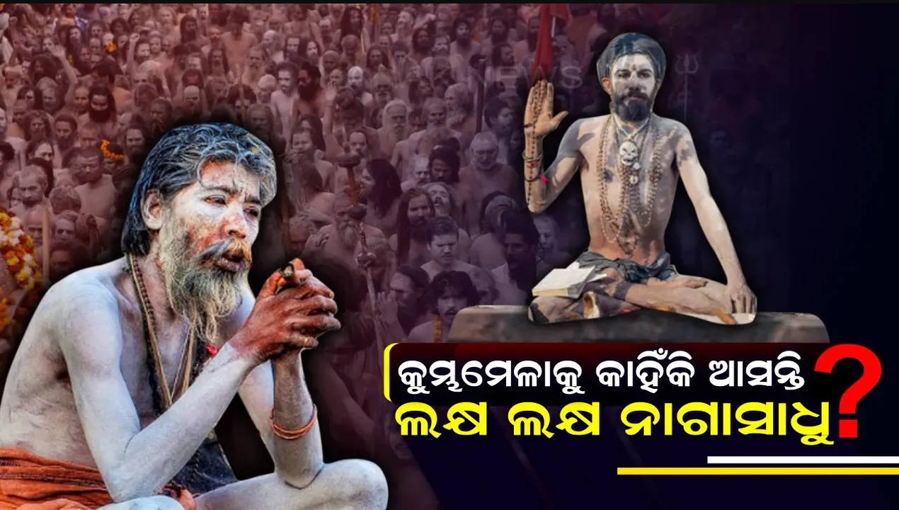  ଭସ୍ମର ଶୃଙ୍ଗାର , ଲମ୍ବା ଲମ୍ବା ଜଟା .. ମହାକୁମ୍ଭକୁ ଆସିବେ ସାଧୁଙ୍କ ସାଧୁ ନାଗା । ଜାଣନ୍ତୁ କୁମ୍ଭମେଳାକୁ କାହିଁକି ଆସନ୍ତି ନାଗାସାଧୁ?