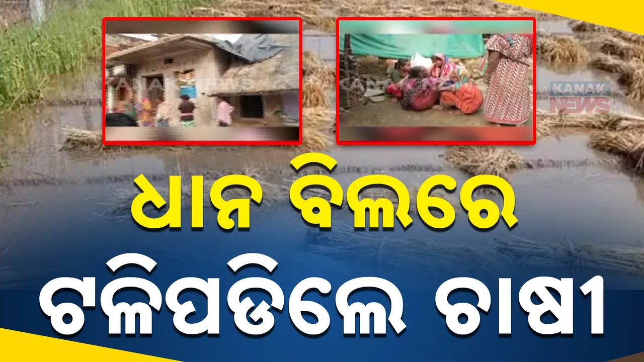  େୋୂବୋୱୋ୍ଗ  Photograph: (େୂୋବୋୱୋ୍ଗ ) 