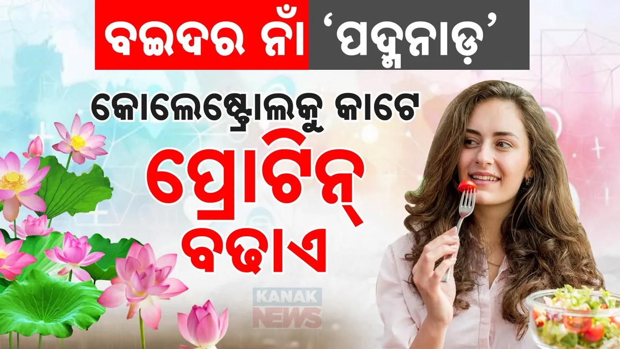  ଖାଦ୍ୟରେ ସାମିଲ୍ କରନ୍ତୁ ପଦ୍ମନାଡ଼ । ସ୍ବାସ୍ଥ୍ୟ ପାଇଁ କାମିକିଆ ବଡ଼ । ଖାଇଲେ କଣ୍ଟ୍ରୋଲ୍ ହୁଏ କୋଲେଷ୍ଟ୍ରୋଲ୍