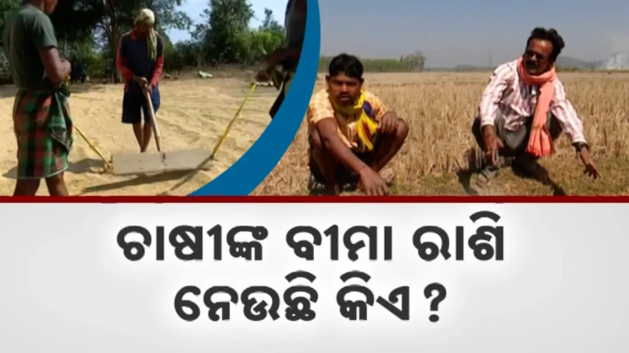  ଚାଷୀଙ୍କ ବୀମା ରାଶି ନେଉଛି କିଏ? Photograph: (KanakNews ) 