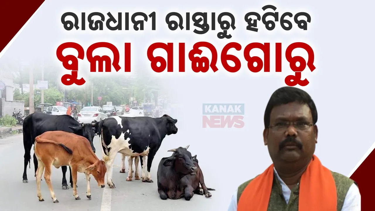  gokula  Photograph: (kanaknews) 