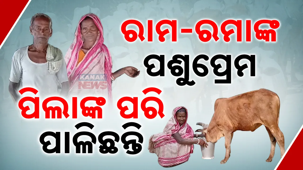  ପଶୁପ୍ରିୟ ଦମ୍ପତି: ୫୦ରୁ ଅଧିକ ଗୋରୁଗାଈ-ଷଣ୍ଢ, ୨୦ରୁ ଅଧିକ ବୁଲା କୁକୁର... ସମସ୍ତଙ୍କୁ ନିଜ ପିଲା ପରି ପାଳିଛନ୍ତି ବୃଦ୍ଧ ଦମ୍ପତି ।