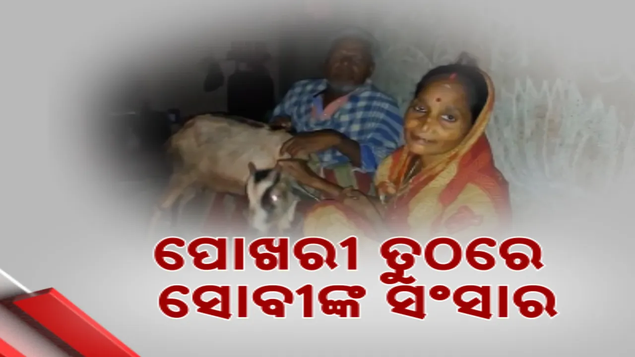  ବେଘର କରିଛି ସାମୁଦ୍ରିକ ଝଡ; ବାତ୍ୟା ଫନି ପରଠୁ ପୋଖରୀ ତୁଠରେ ବିତୁଛି ସୋବୀଙ୍କ ସମୟ