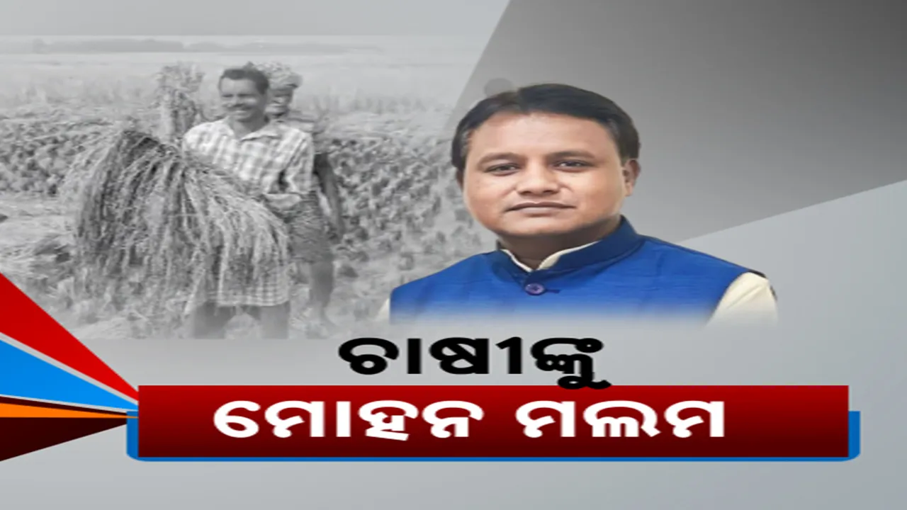  ଚାଷୀଙ୍କୁ ମୋହନ ମଲମ  Photograph: (KanakNews ) 