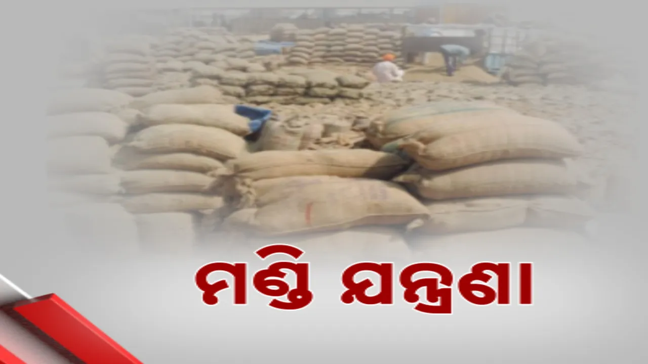  ଖରିଫ ଚାଷ ଆରମ୍ଭରୁ ଅମଳ ଯାଏଁ ସରୁନି ସମସ୍ୟା; ପ୍ରଥମେ ବର୍ଷା ଆଉ ଏବେ ମଣ୍ଡି ଅବ୍ୟବସ୍ଥା
