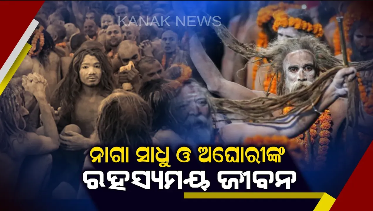 ବିନା କପଡ଼ାରେ ବୁଲନ୍ତି ନାଗା , ଶ୍ମଶାନରେ ଶବକୁ ଭକ୍ଷଣ କରନ୍ତି ଅଘୋରୀ .. ଦେଖିବାକୁ ଏକା ପରି କିନ୍ତୁ ଦୁହିଁଙ୍କ ମଧ୍ୟରେ ଅନେକ ଅନ୍ତର