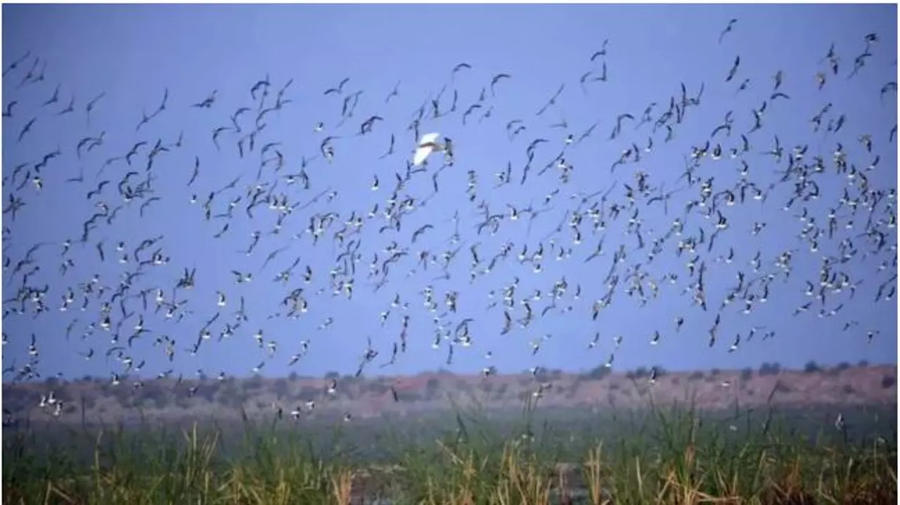  CHILIKA Photograph: (GOOGLE) 