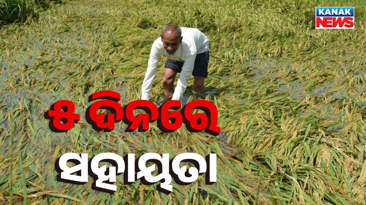  ୫ ଦିନରେ ସହାୟତା Photograph: (KanakNews ) 