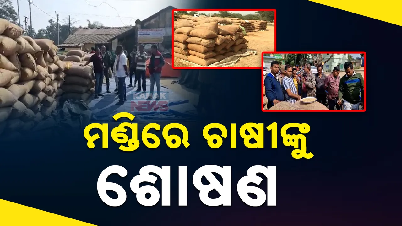  ମଣ୍ଡିରେ ଚାଷୀଙ୍କୁ ଶୋଷଣ  Photograph: (KanakNews ) 