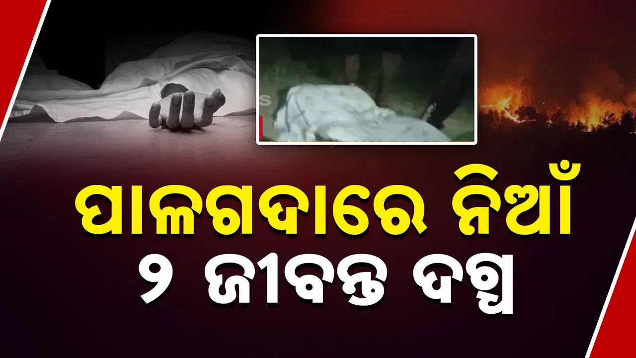  ପାଳଗଦାରେ ଲାଗିଲା ନିଆଁ । ଜୀବନ୍ତ ଦଗ୍ଧ ହୋଇଗଲେ ଦୁଇଜଣ ନାବାଳକ  ।