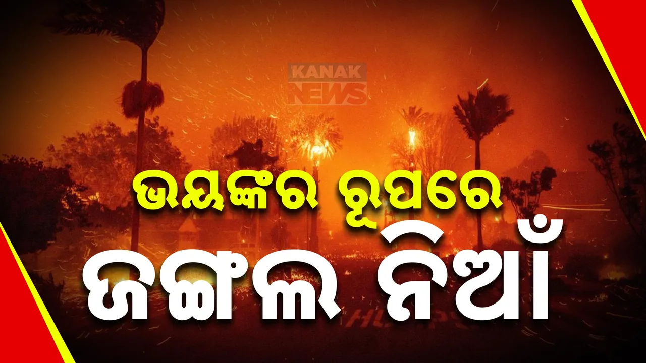  ଜଳୁଛି କାଲିଫର୍ଣ୍ଣିଆ ; ୧୧ ମୃତ, ୩ ଲକ୍ଷ ଲୋକ ସ୍ଥାନାନ୍ତର