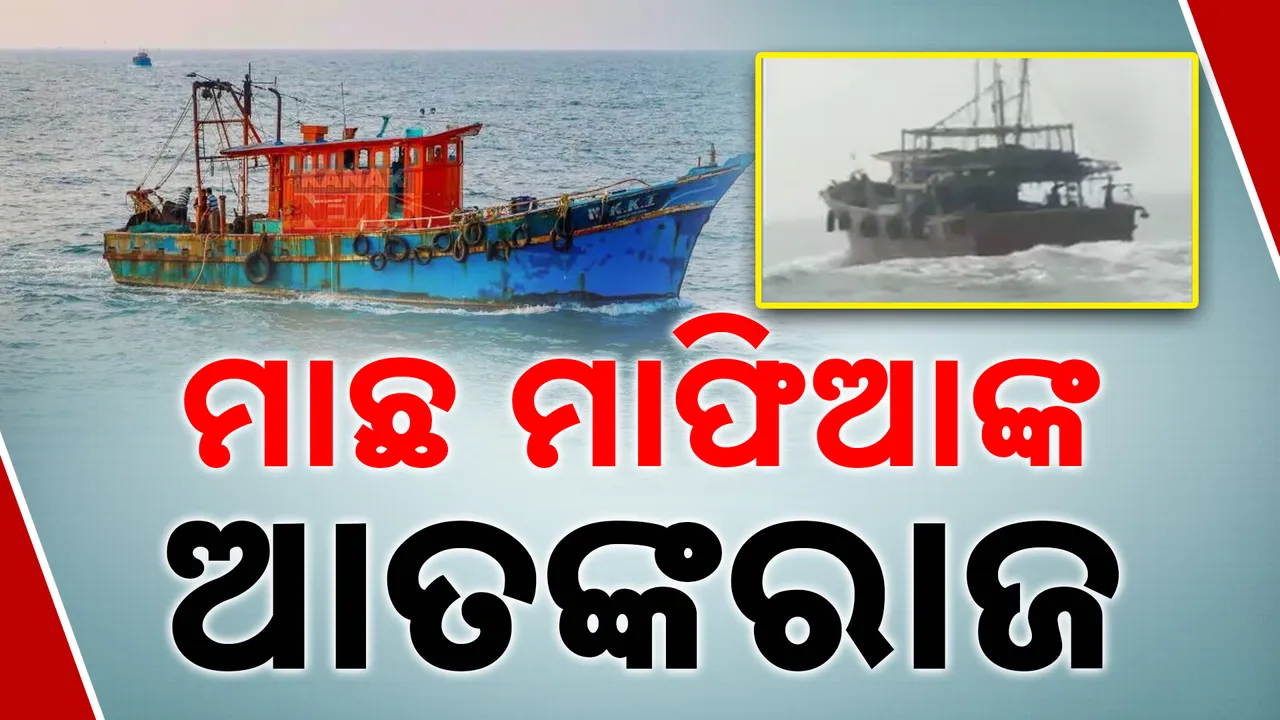  fish  Photograph: (KanakNews ) 