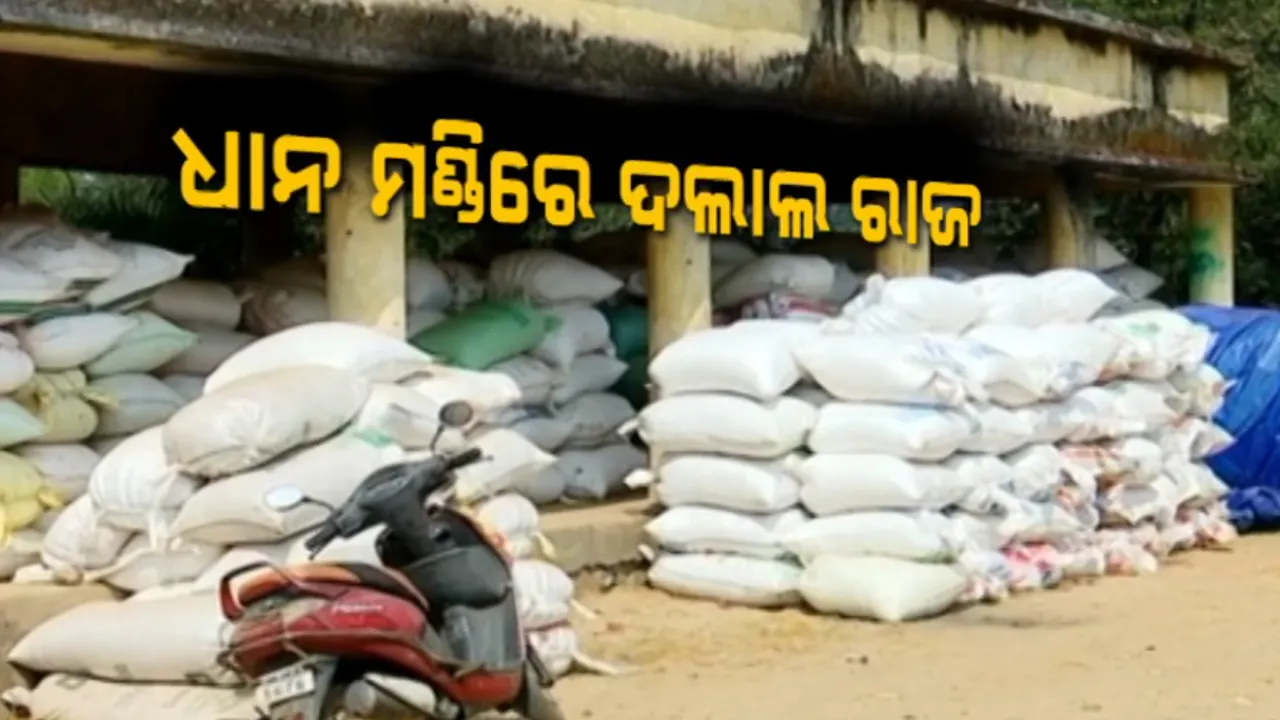  ଧାନ ମଣ୍ଡିରେ ଦଲାଲରାଜ  Photograph: (KanakNews ) 