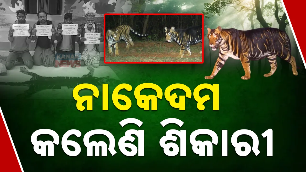  ଶିମିଳିପାଳ,  Photograph: (KanakNews) 