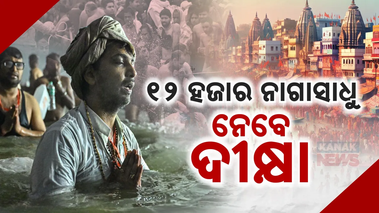  naga sadhu Photograph: (kanakNews) 