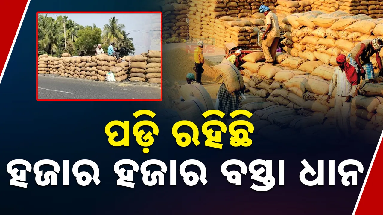  ପଞ୍ଚାୟତ ଅଫିସ୍ ଆଗରେ ପଡି ରହିଛି ହଜାର ହଜାର ବସ୍ତା ଧାନ; ମାତ୍ର ୨୫ ହଜାର କ୍ବିଣ୍ଟାଲ ଧାନ କିଣା ଯାଇଥିବା ଅଭିଯୋଗ