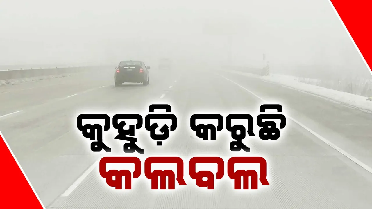  fog  Photograph: (KanakNews ) 
