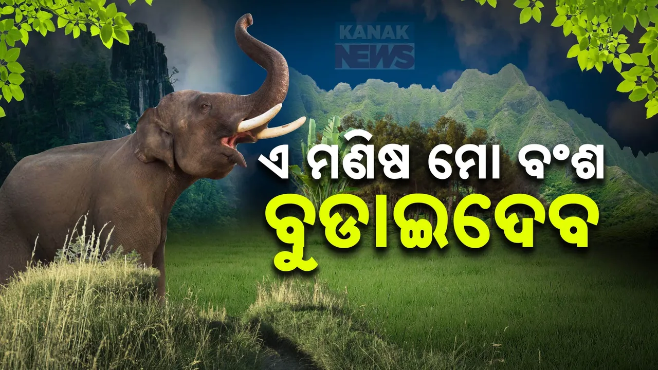  elephant death00 Photograph: (kanakNews) 