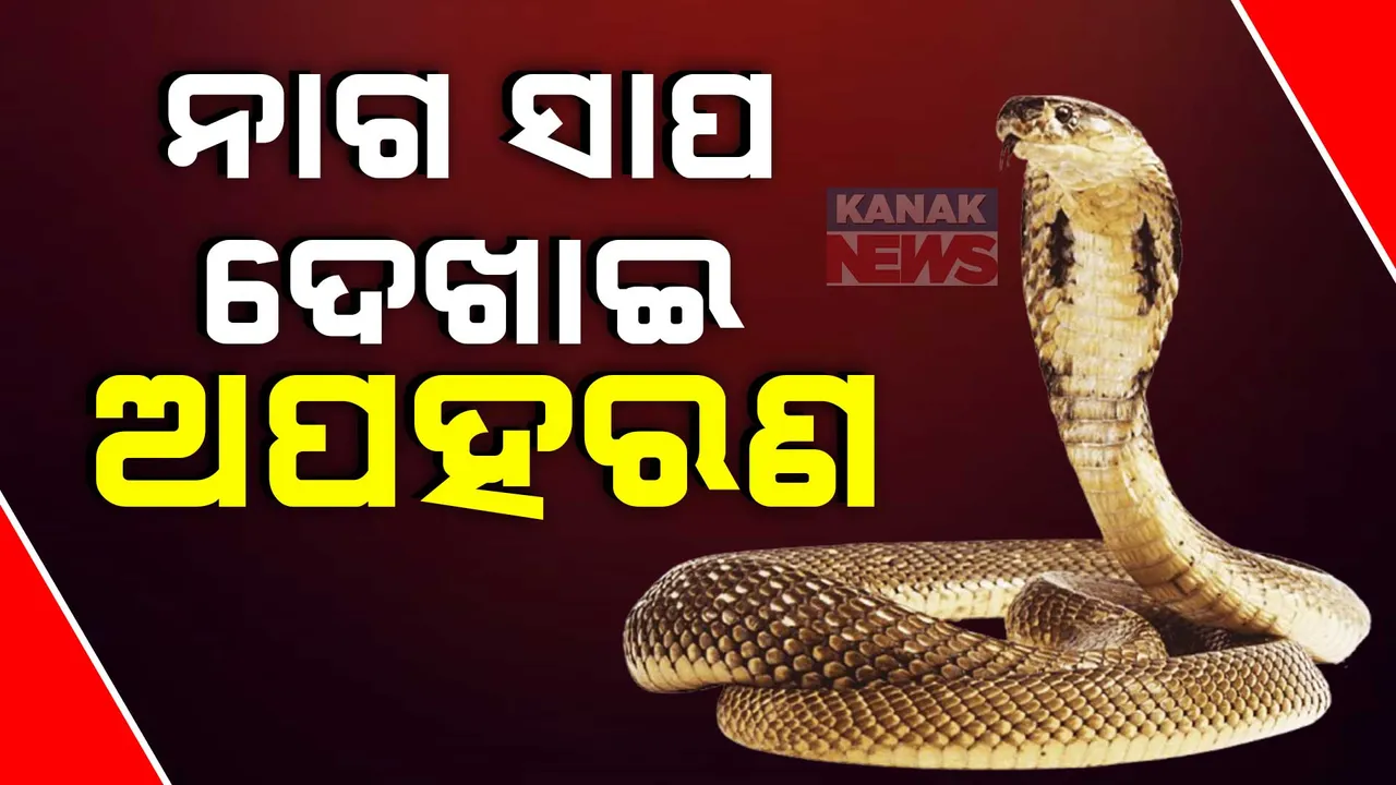  naga  Photograph: (KanakNews ) 