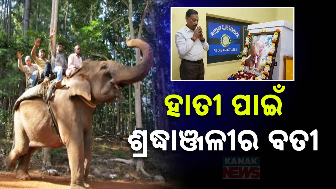  Photograph: (Kanak News) 