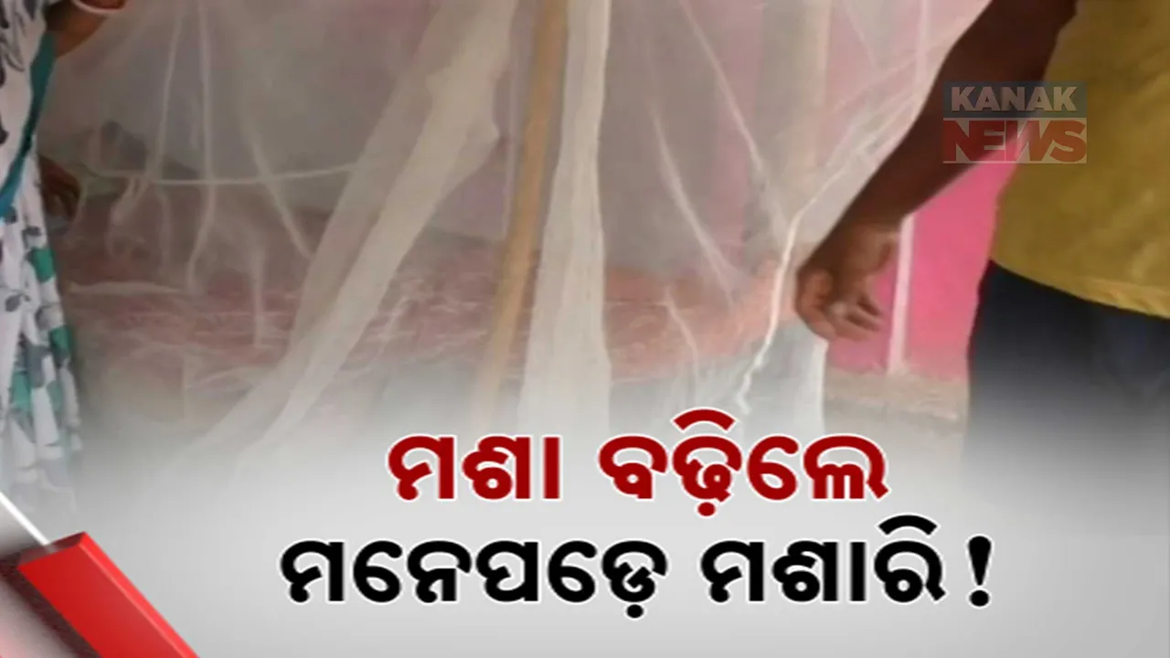  mosquito nets Photograph: (kanaknews) 