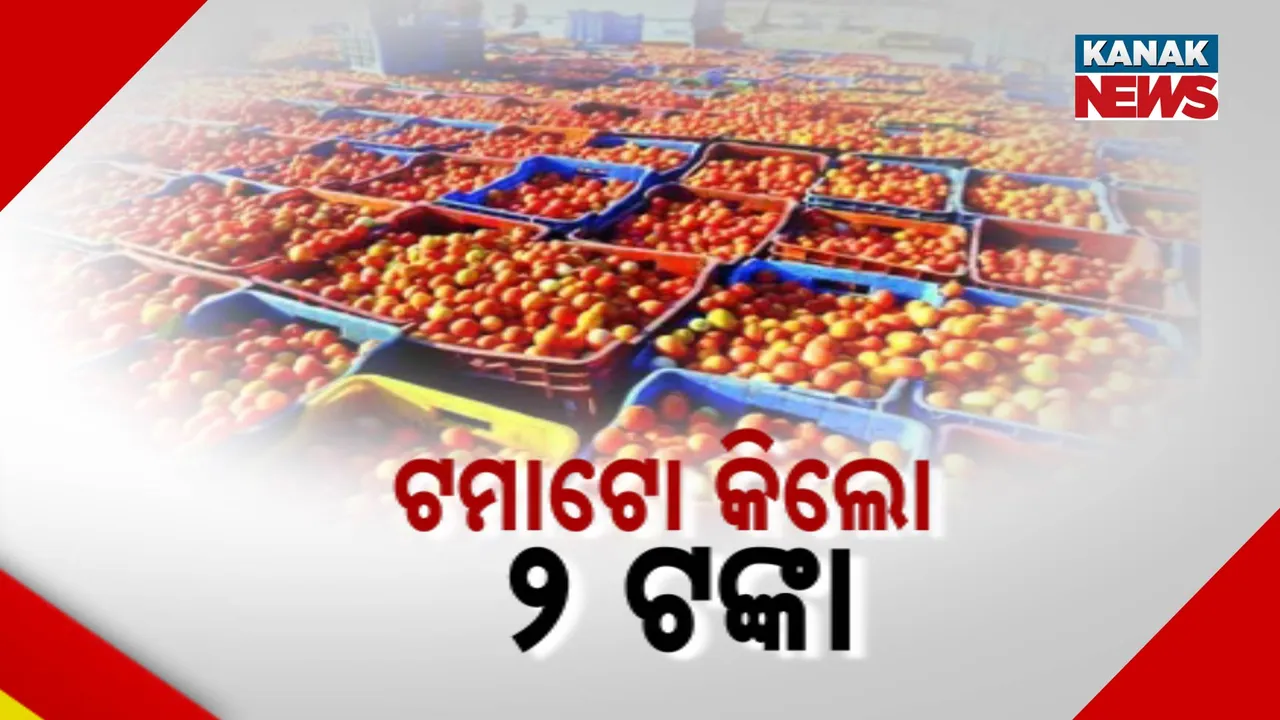  tomato-1 Photograph: (kanakNews) 