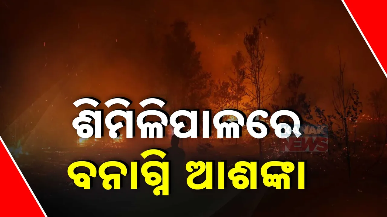  similipal forest Photograph: (kanakNews) 