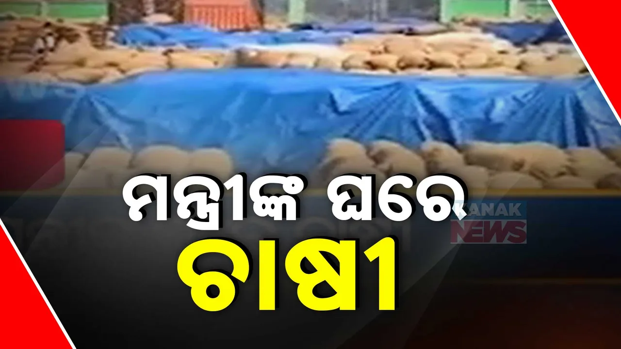  odisha paddy mandi Photograph: (KanakNews) 
