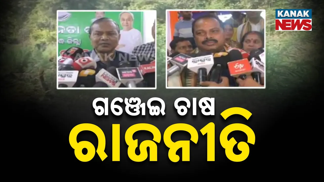  ganza farming Photograph: (kanakNews) 