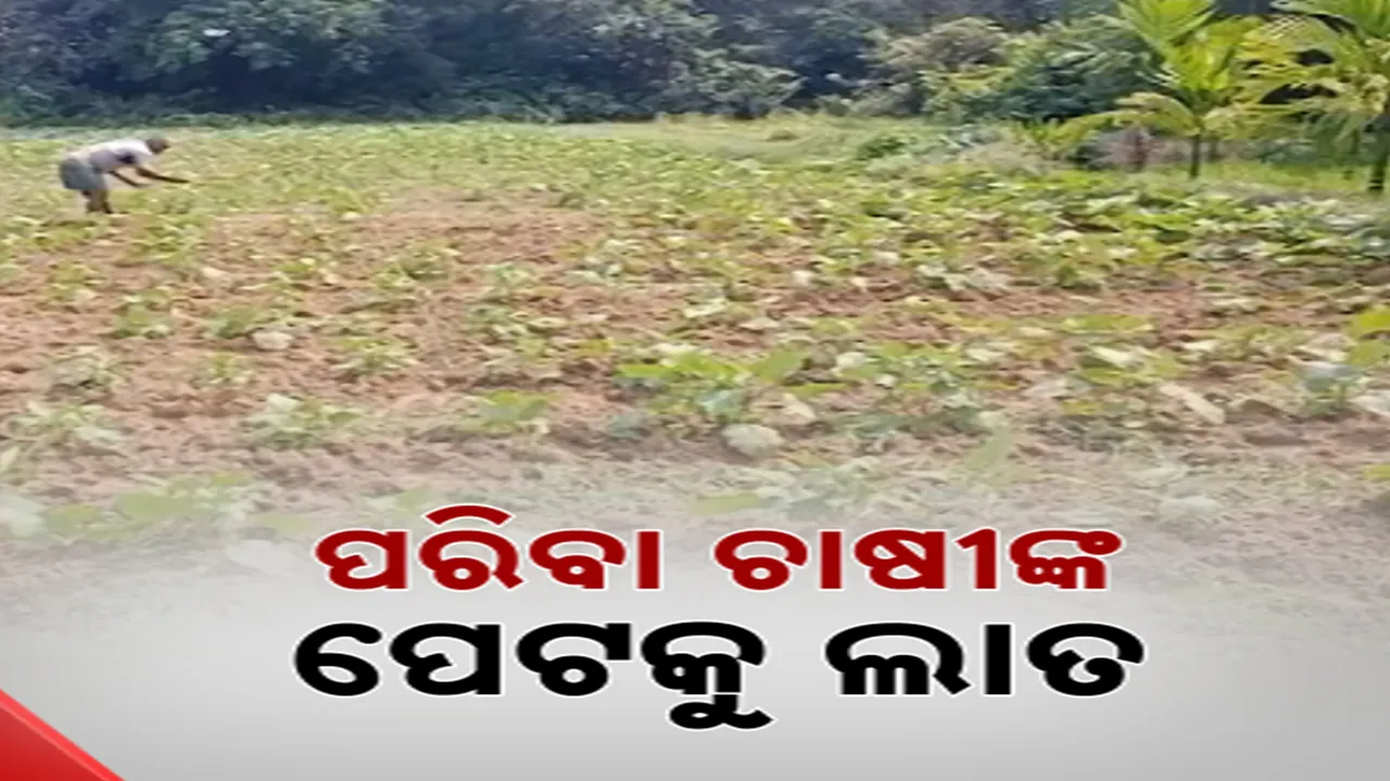  coldStorage problem Photograph: (kanakNews) 