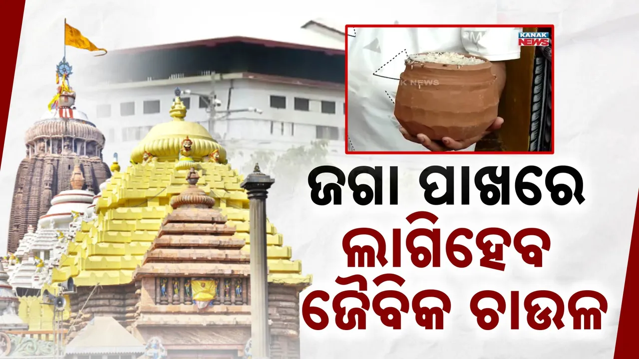 ଜଗା ପାଖରେ ଲାଗିହେବ ଜୈବିକ ଚାଉଳ । କାର୍ଯ୍ୟକାରୀ ହେବ ‘ଅମୃତ ଅନ୍ନ’ ପ୍ରକଳ୍ପ ।