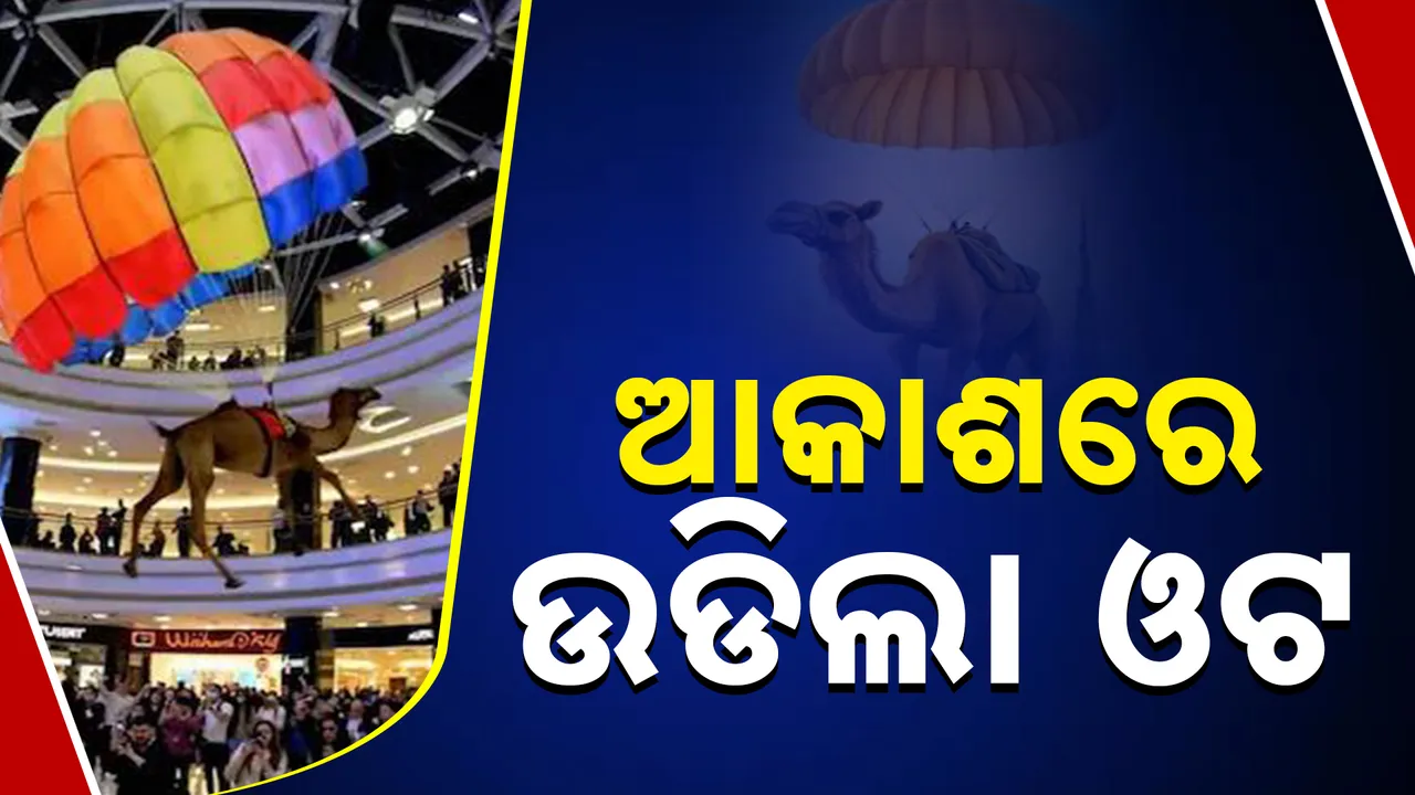  ଆକାଶରେ ଉଡିଲା ଓଟୋ ।  
