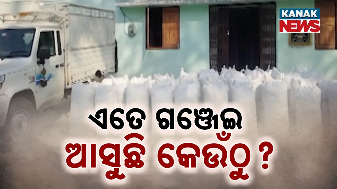  ଗଞ୍ଜେଇ ମାଫିଆଙ୍କ ପଛରେ କିଏ? Photograph: (Kanak News ) 